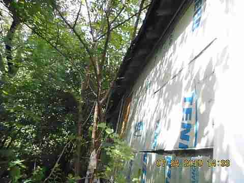 17151 Anglin (6)_m.jpg